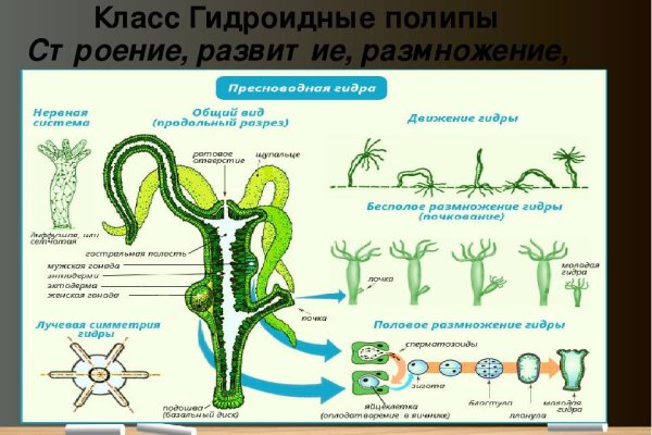 Кракен сайт с наркотиками