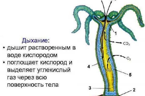 Кракен площадка зеркало