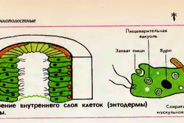 Сайт кракен тор браузера